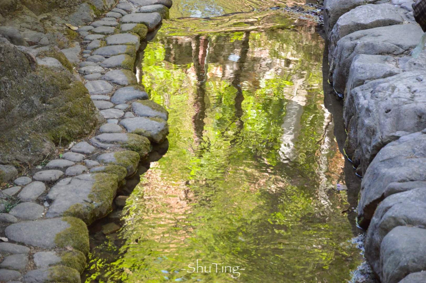 🟢喜欢那一抹流动的绿🍃邯郸七步沟美到失语