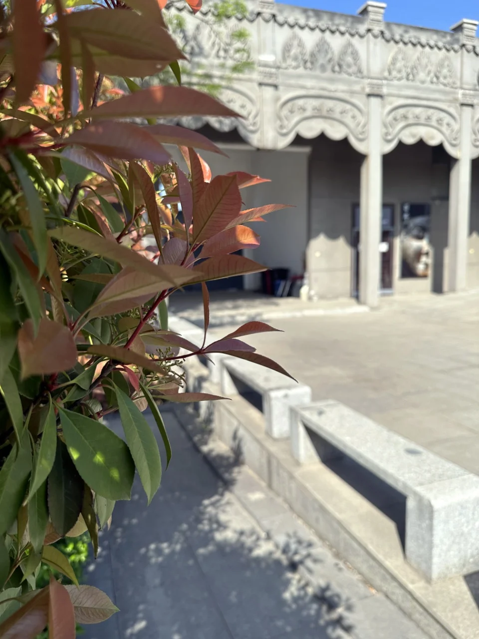 银发族专属—响堂山舒适一日游攻略