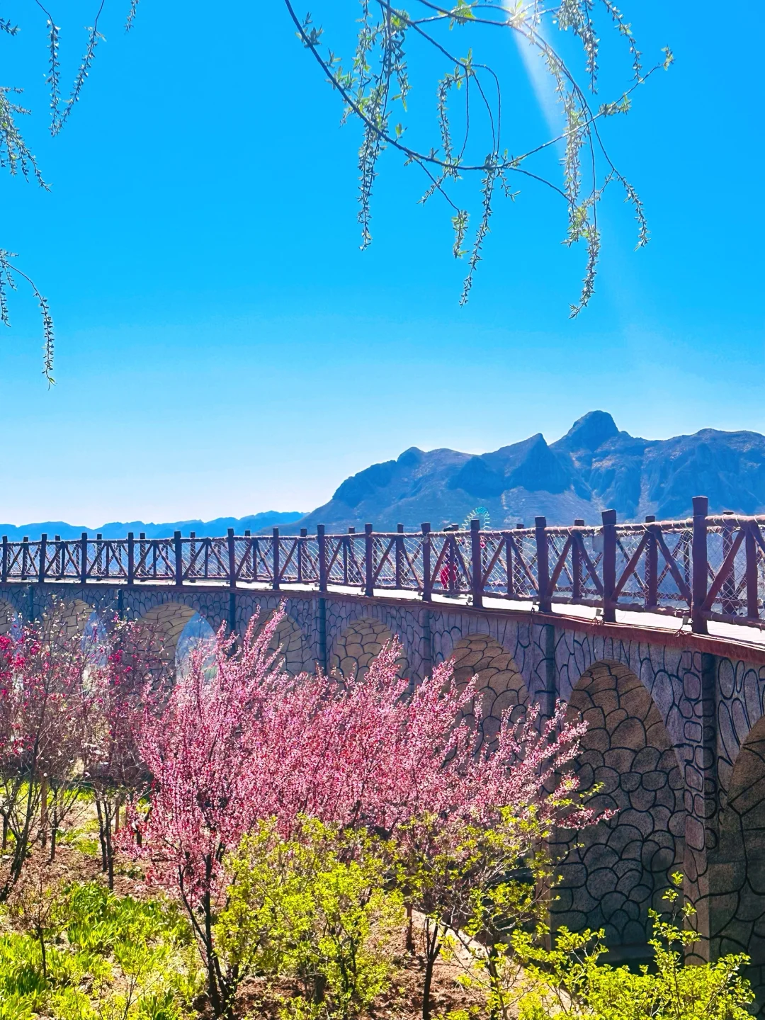 别人旅游看风景，我却在农家乐饿了一中午‼️