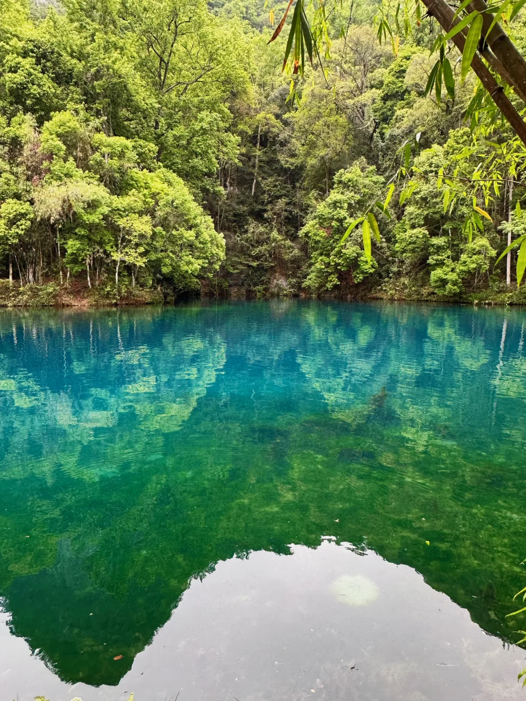 贵州旅游｜荔波小七孔 地球腰带上的绿宝石