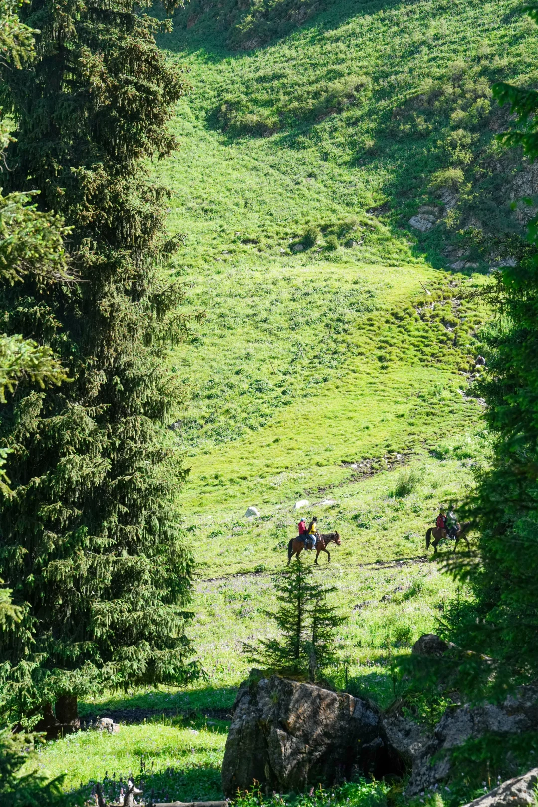6月的夏塔是拍人生照片的最佳季节