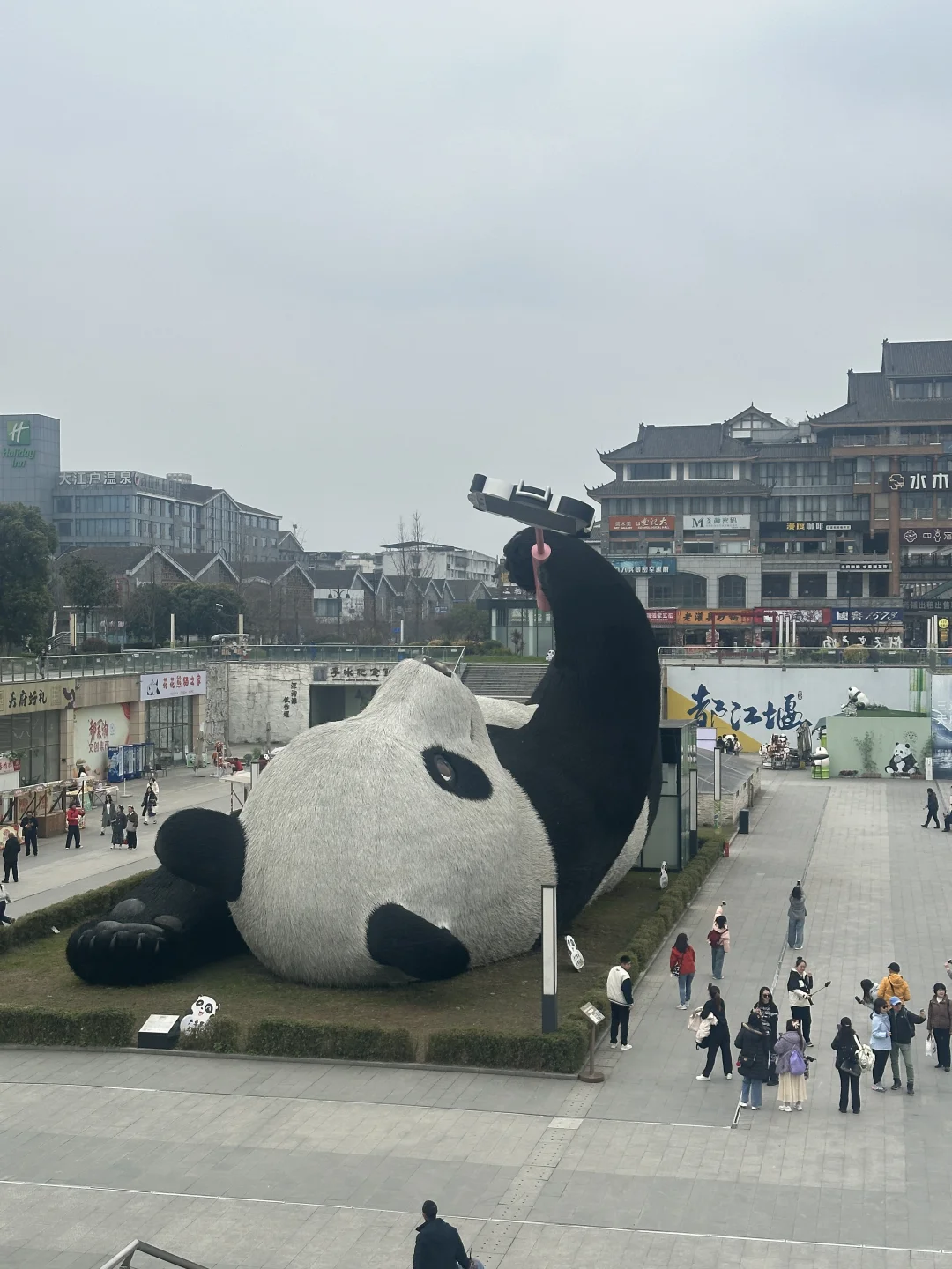 都江堰一日游，熊猫谷包车旅游攻略！