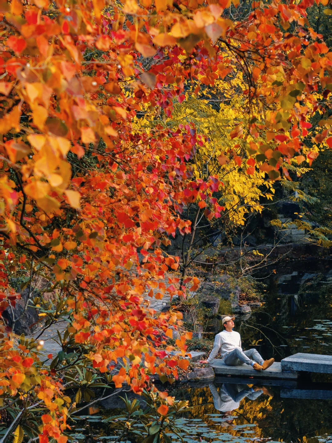 迄今为止，安徽我最喜欢的避世小镇出现了‼️