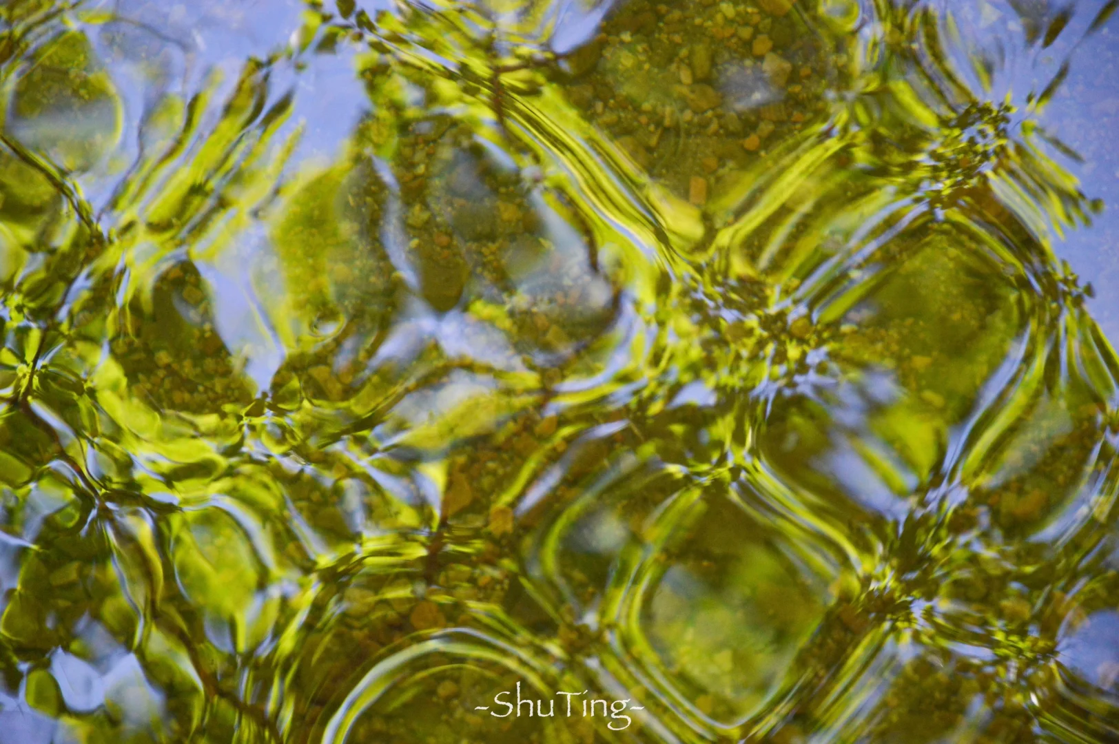 🟢喜欢那一抹流动的绿🍃邯郸七步沟美到失语