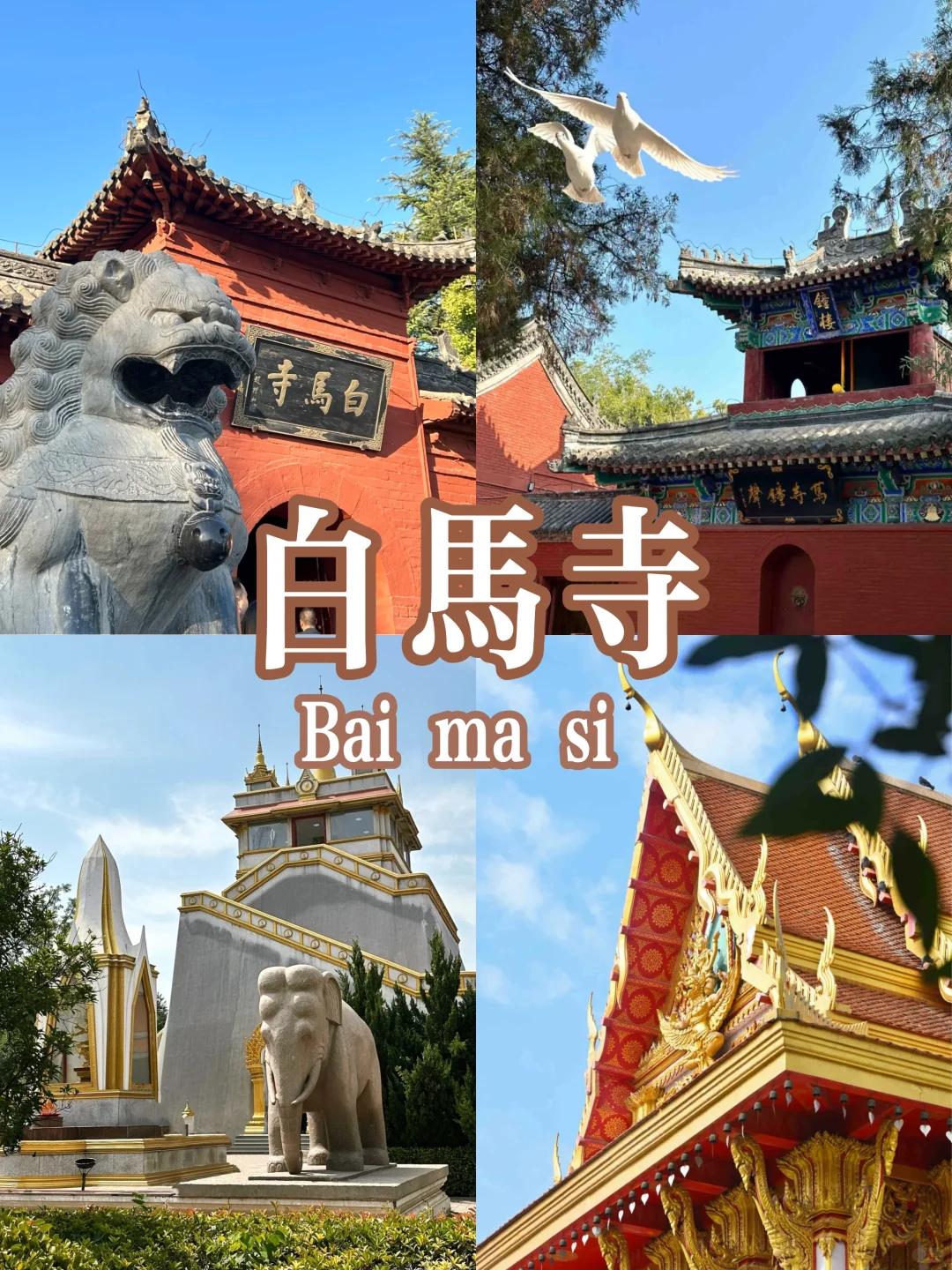 洛阳三日游攻略🏮看这篇就够啦‼️真的好详细