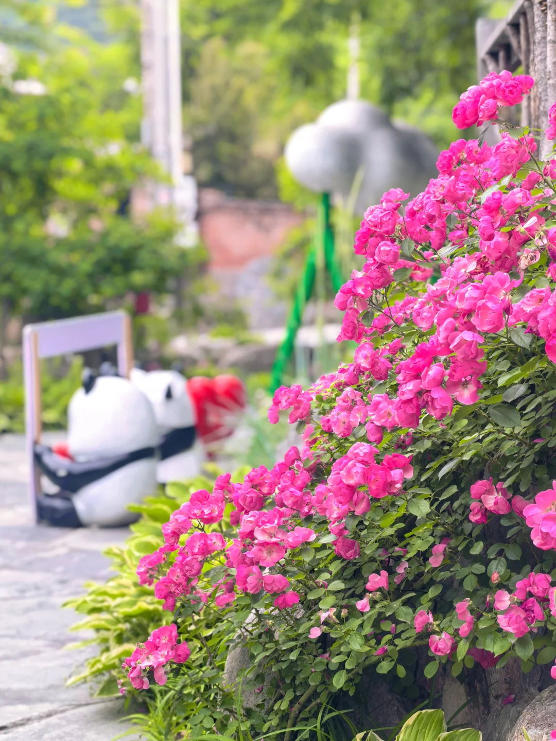 房山惊现猫狗双全的治愈咖啡屋🐈🐩速冲