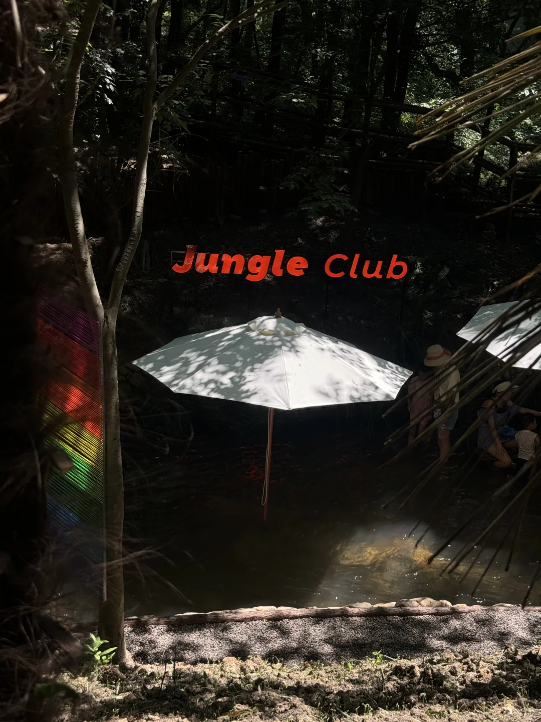 苏州开车2h,来到了魔法世界🦍🐳🦆🦌