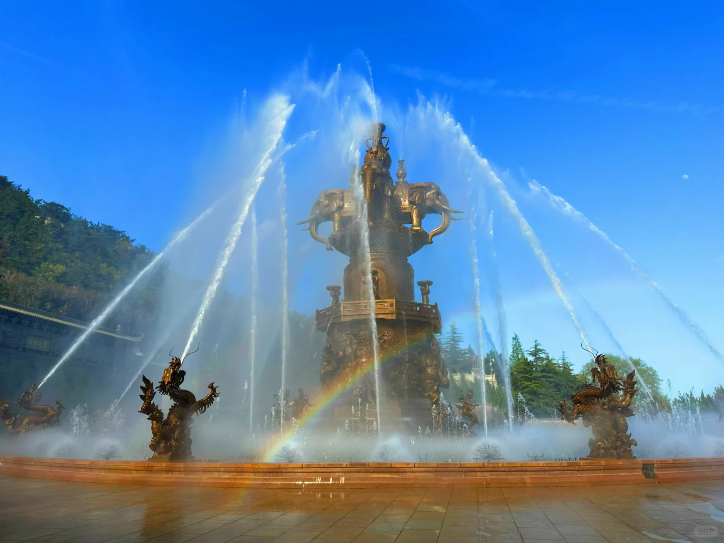 🏮赤山限定福利｜5.19全员景区门票半价❗️❗️