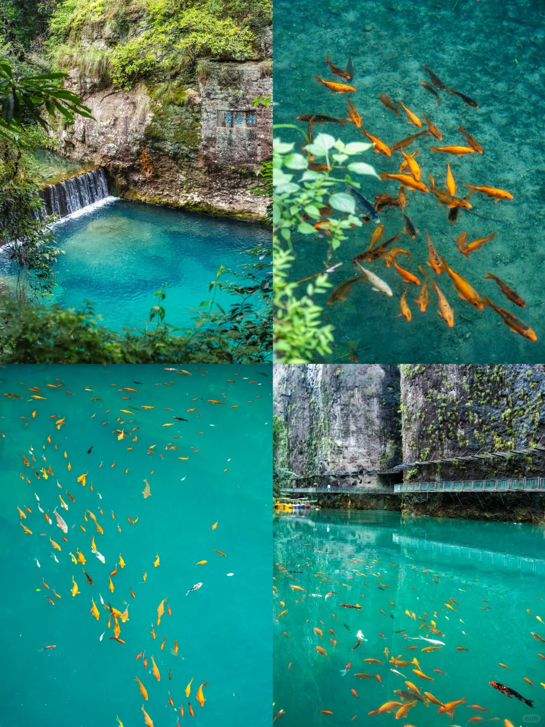 徐霞客三次打卡的山有多绝❗和黄山庐山齐名❗