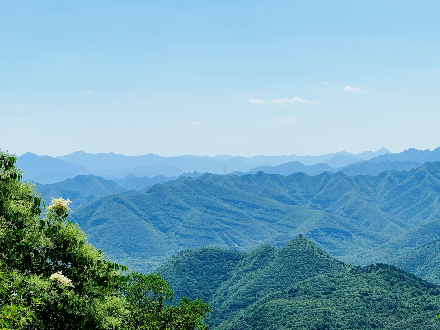 定都阁景区的确没开门