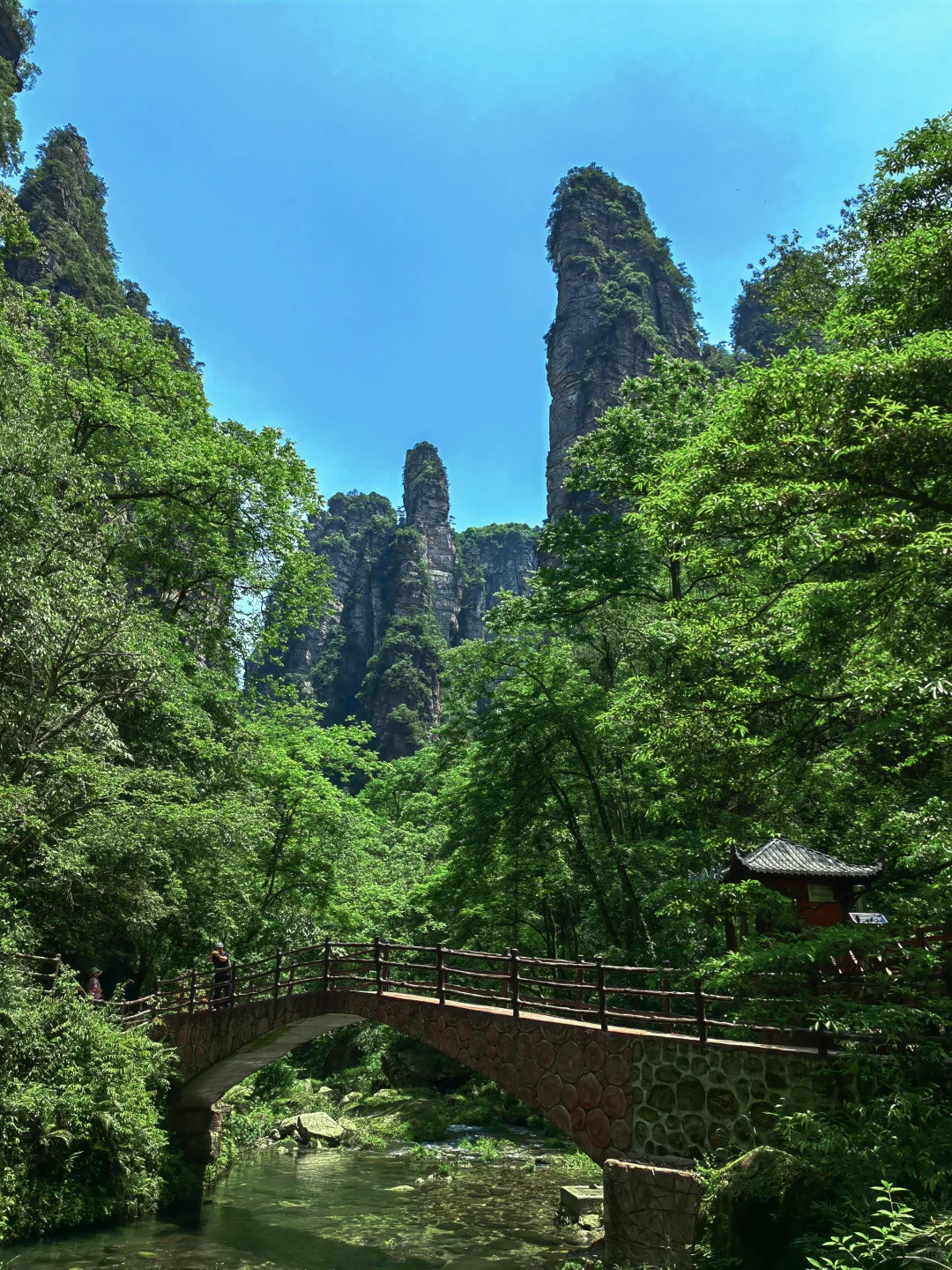 【Day6】湖南•张家界