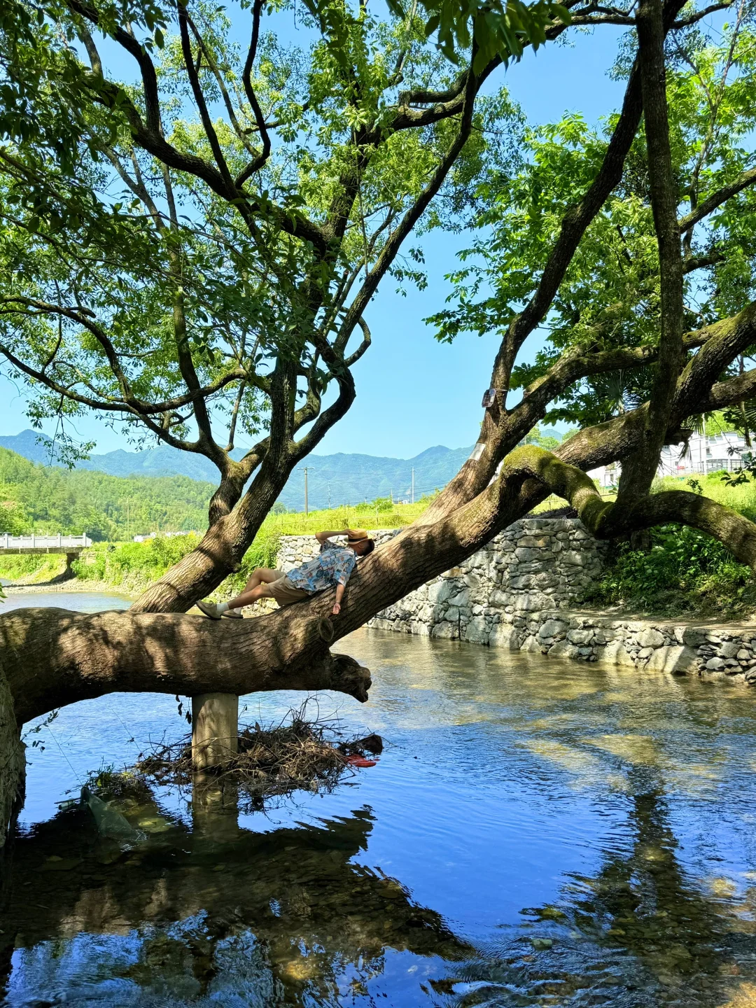 （免费）以为婺源已经够美了，直到我去了这里…