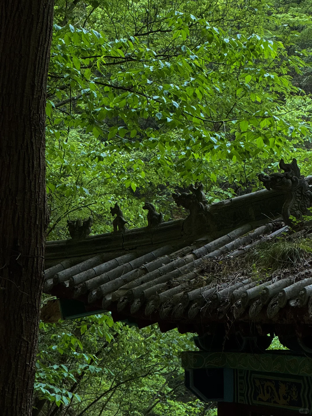 陕西的仙境：金丝峡