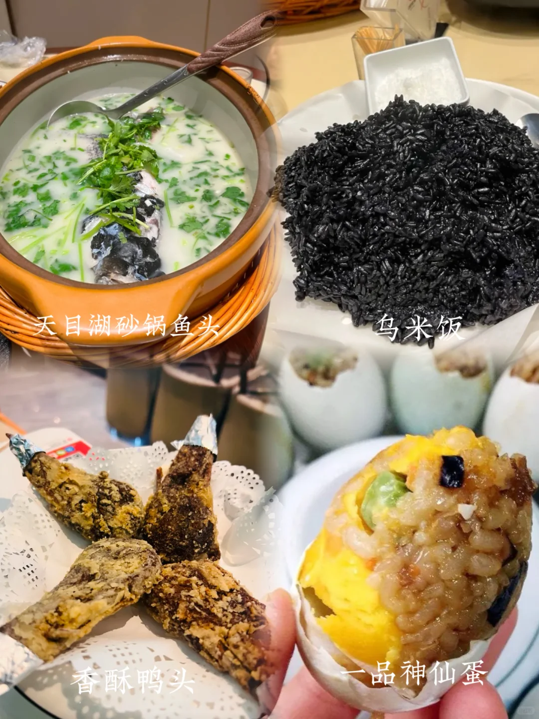 奔县第18站|森林小火车太出片了🚂