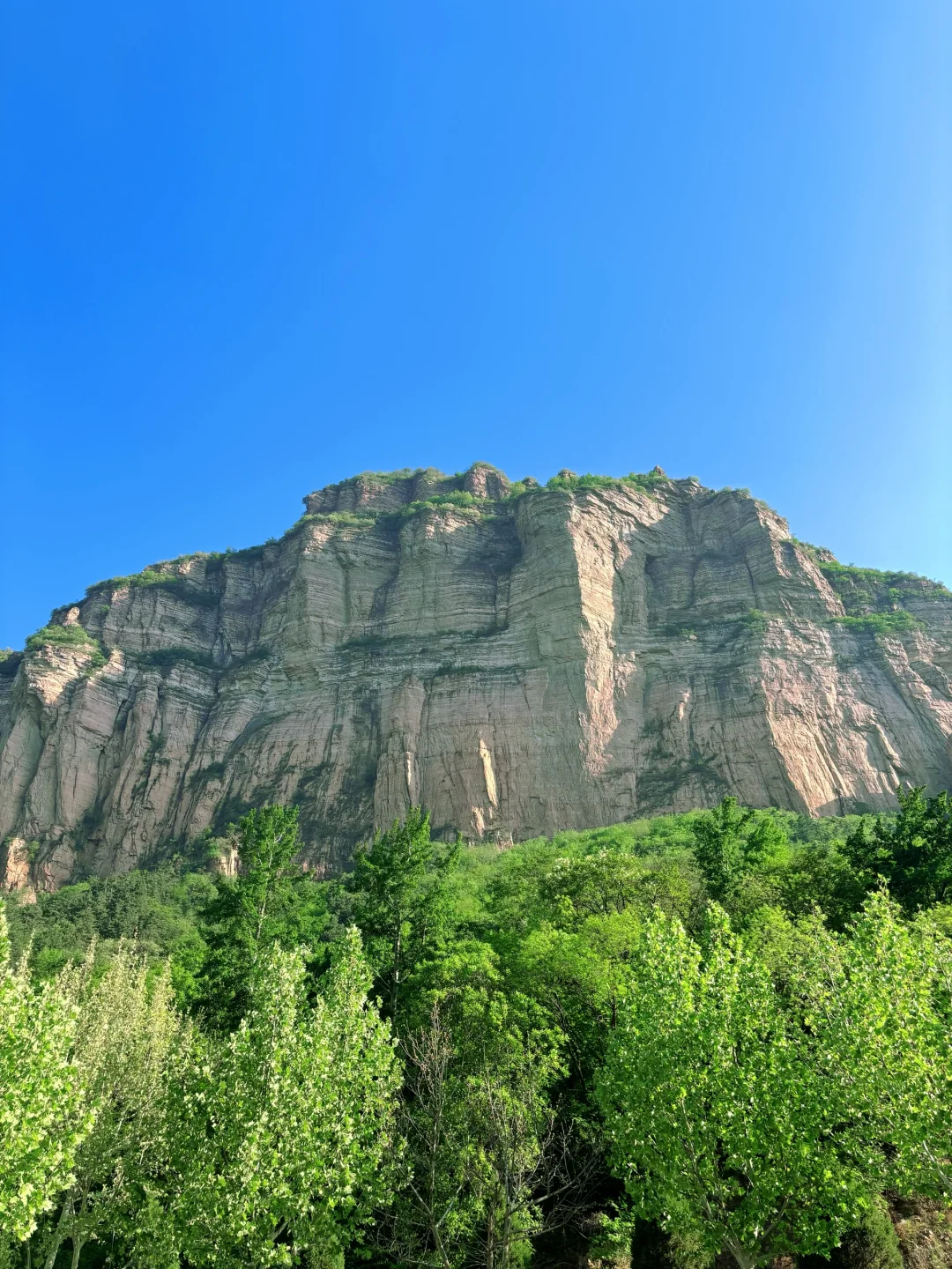 邯郸亲子游玩好去处✌️下次还来❗️❗️❗️