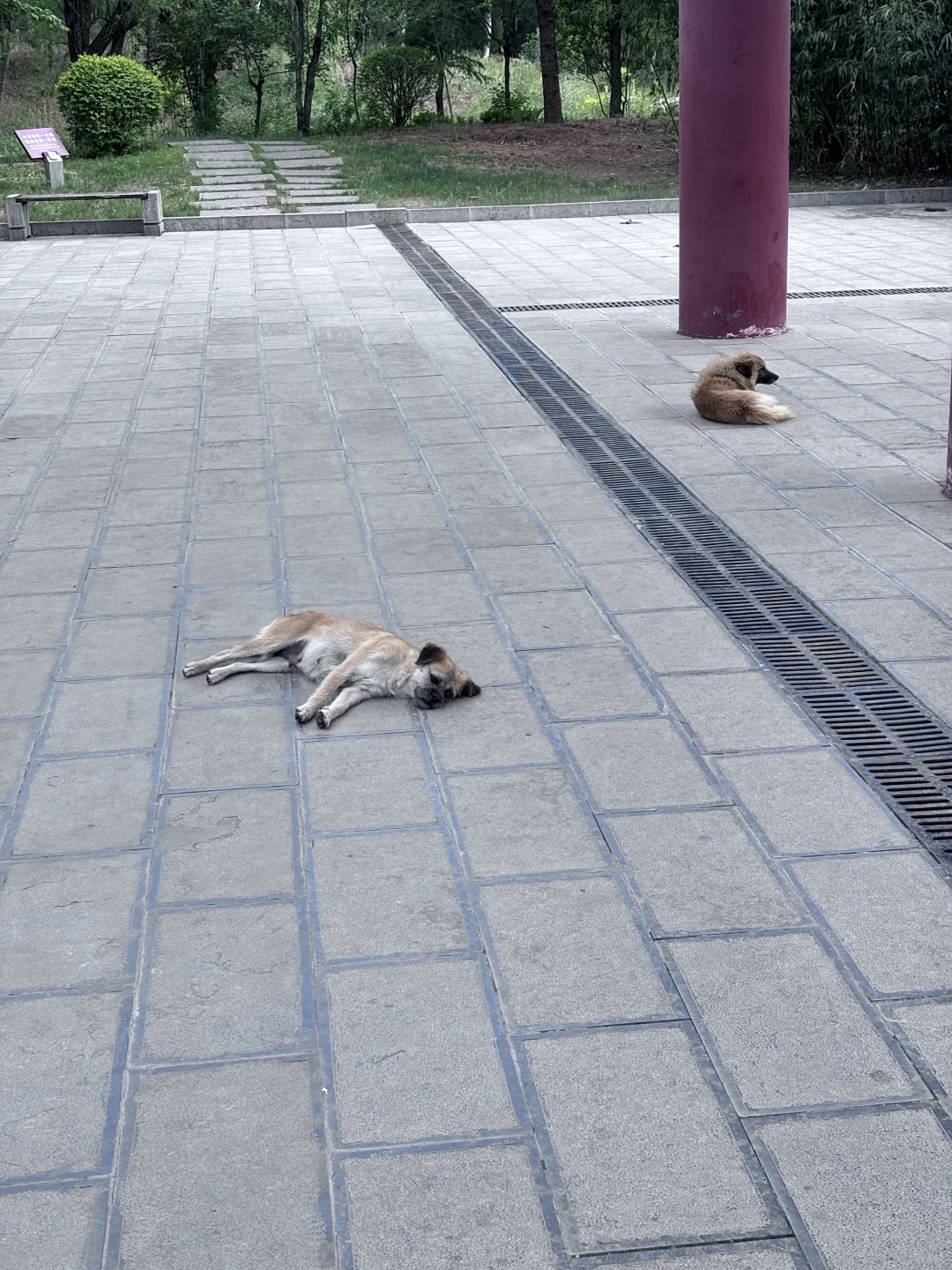 邢台去邯郸旅游，一点小事看清人性！