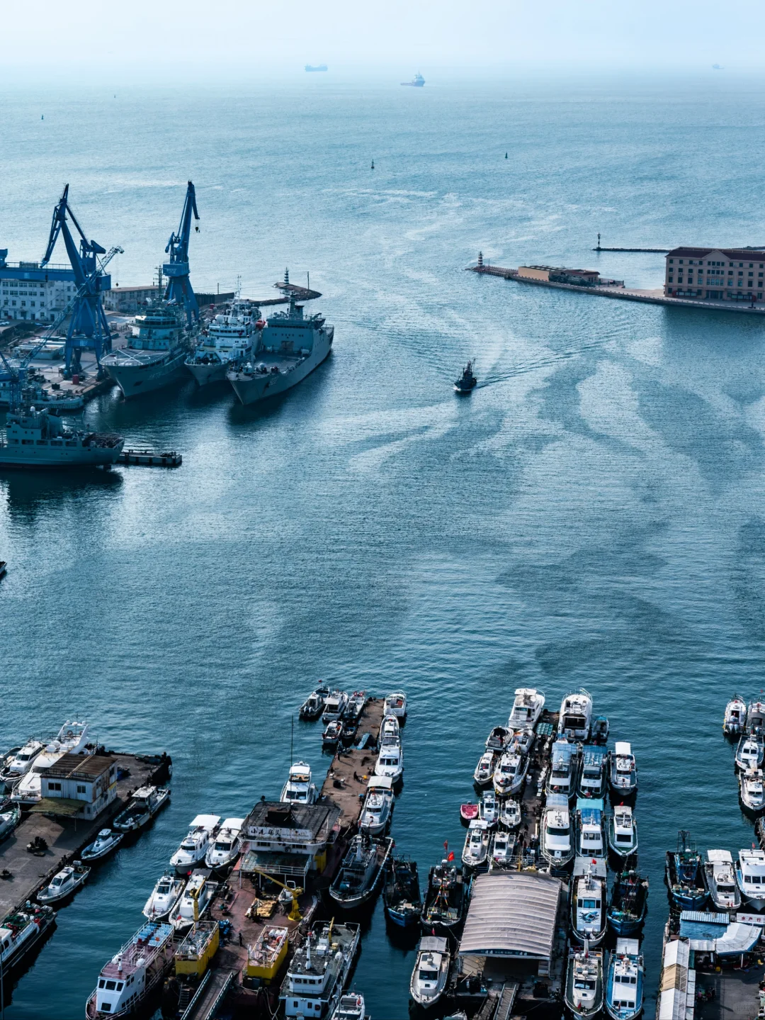 来青岛两次，终于凑齐这14个机位❗️附攻略