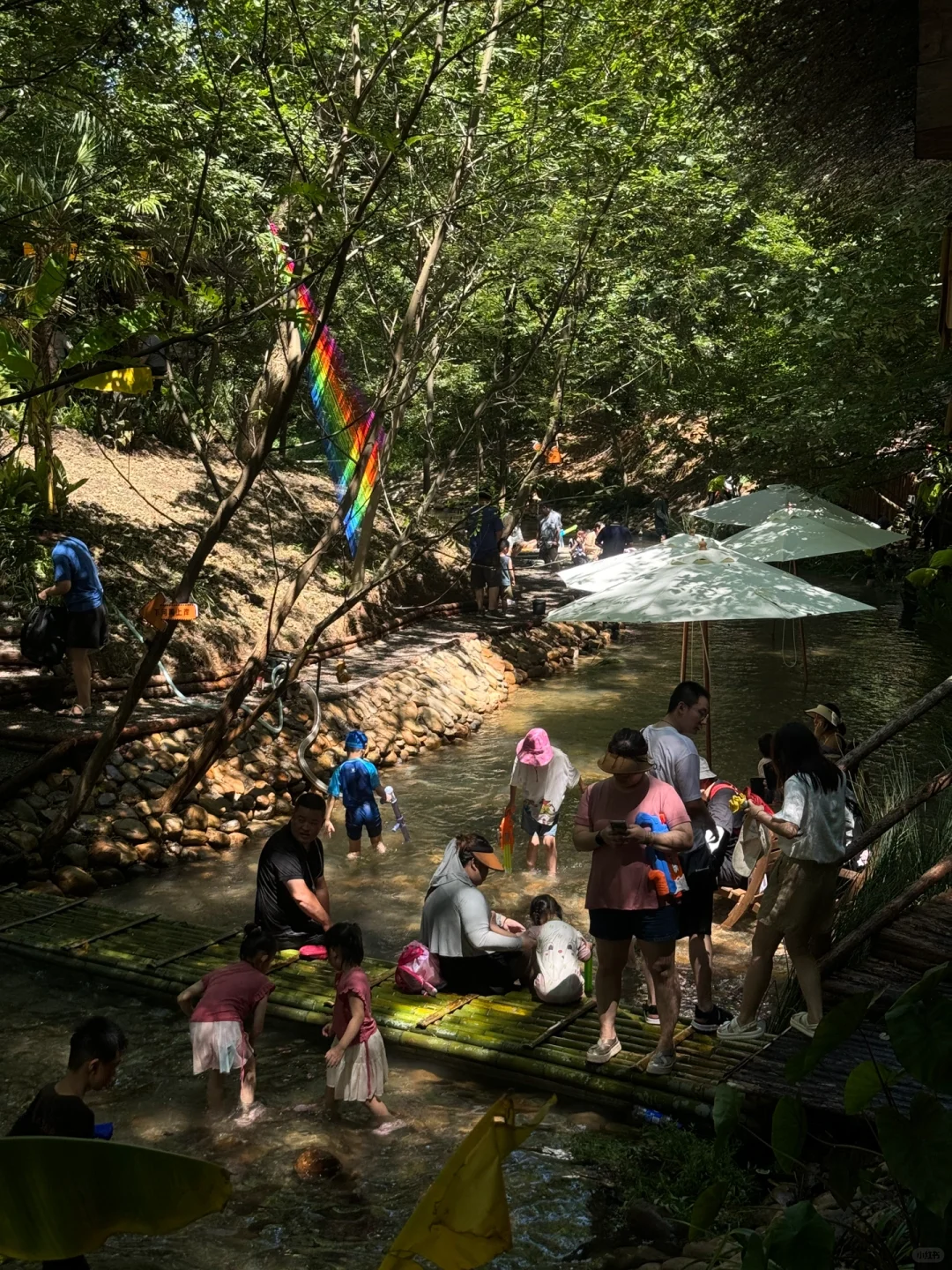 苏州开车2h,来到了魔法世界🦍🐳🦆🦌