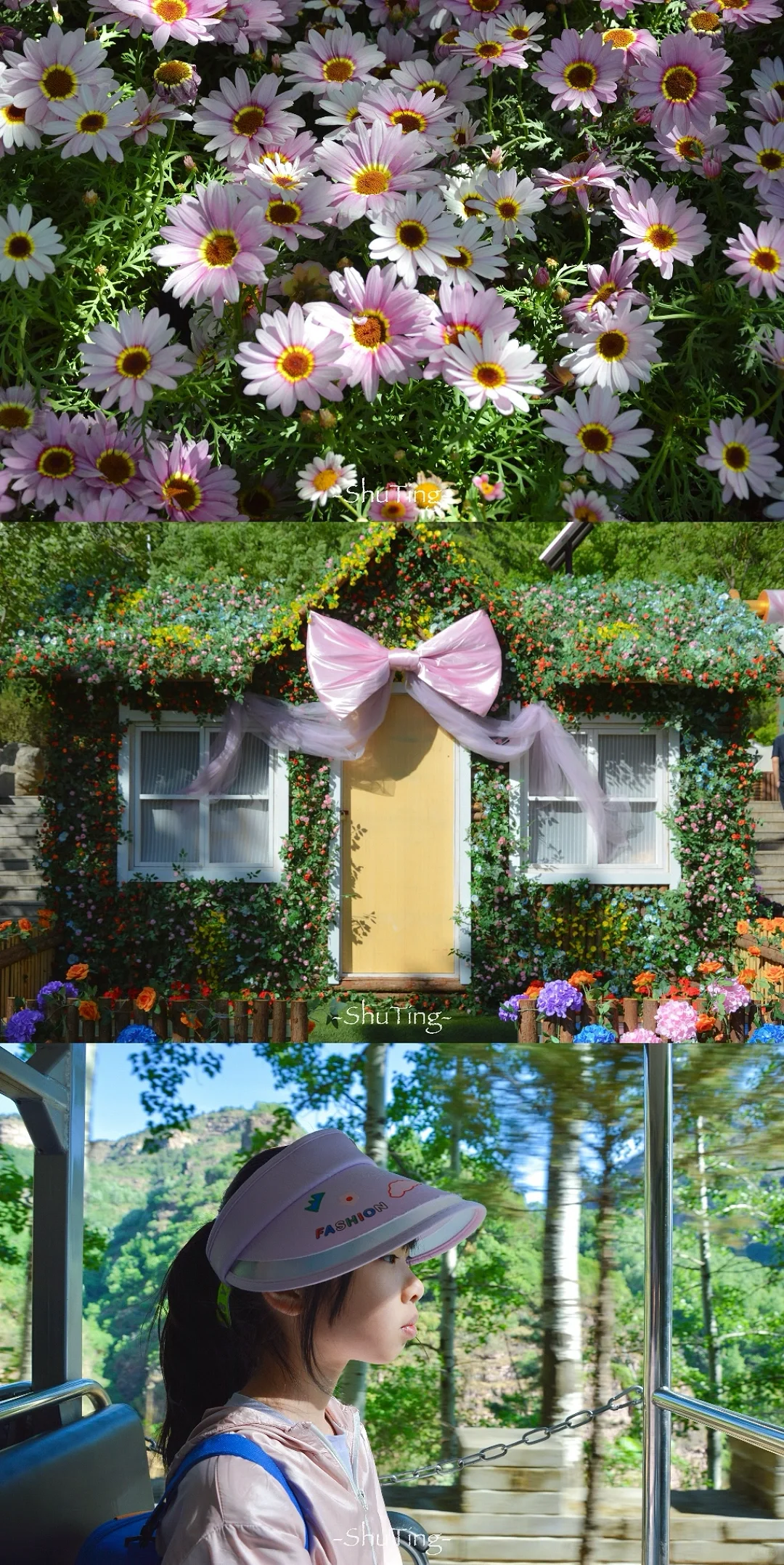 🟢喜欢那一抹流动的绿🍃邯郸七步沟美到失语