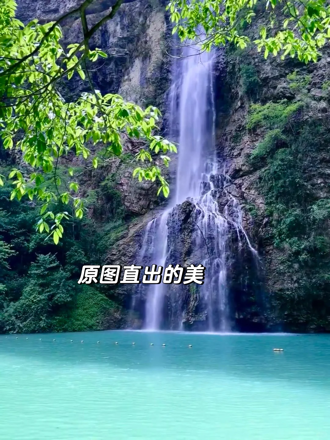 人生建议：带娃去张家界，一定要去大峡谷‼