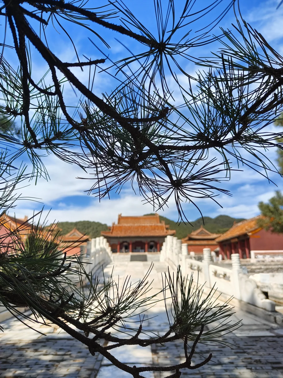 北京周边一日游--清东陵🥰