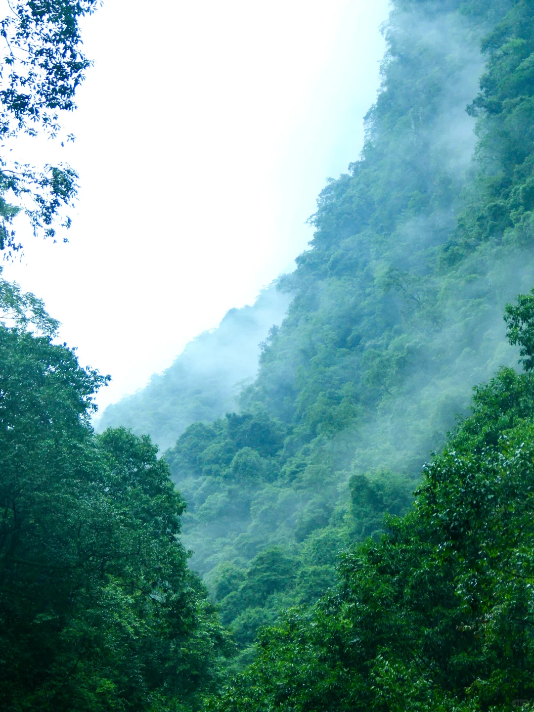 人生建议：端午反向旅游一定要来20℃的恩施