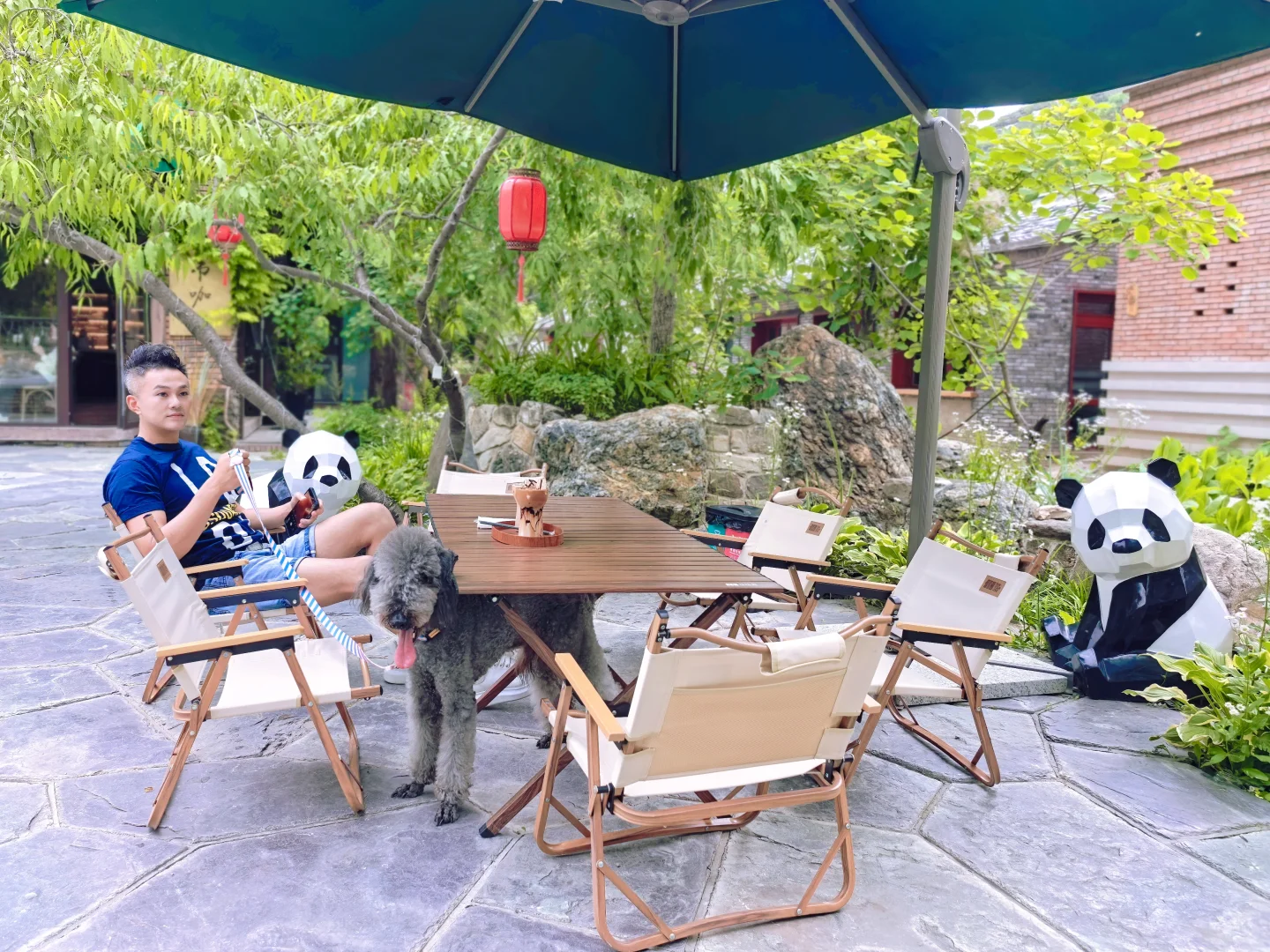 房山惊现猫狗双全的治愈咖啡屋🐈🐩速冲