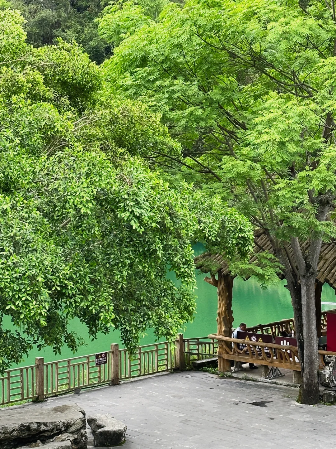 贵州旅游｜荔波小七孔 地球腰带上的绿宝石