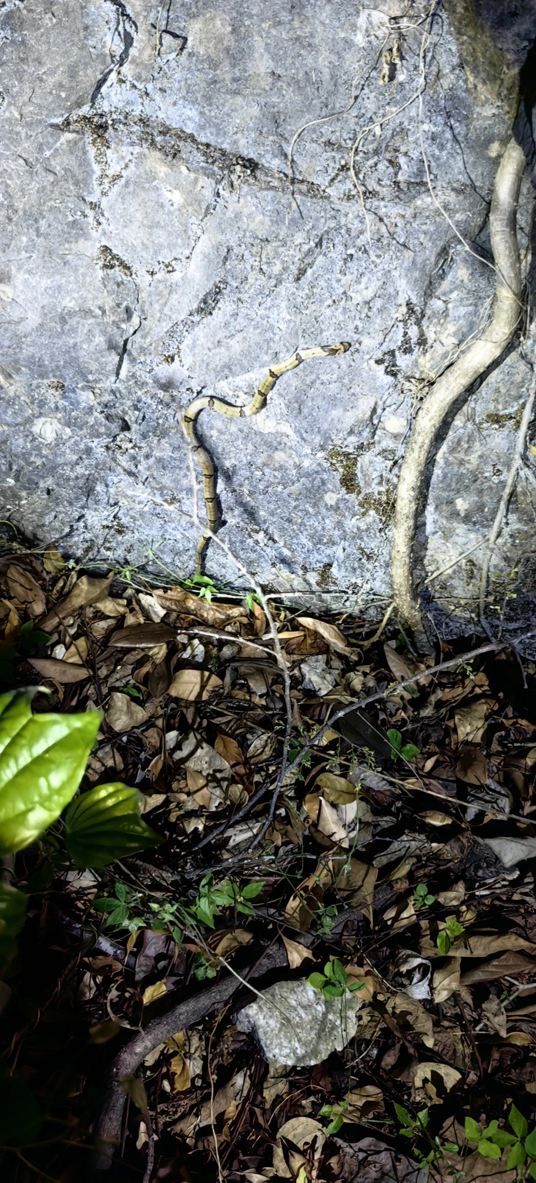 贵州六日游旅行攻略