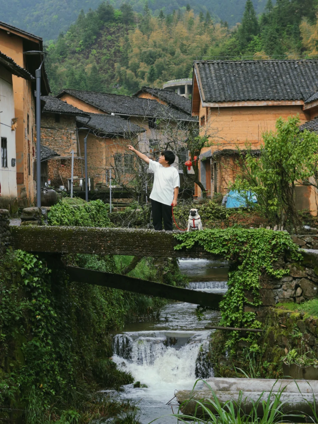 浙江最低调宝藏县城开化:3天2晚游玩攻略