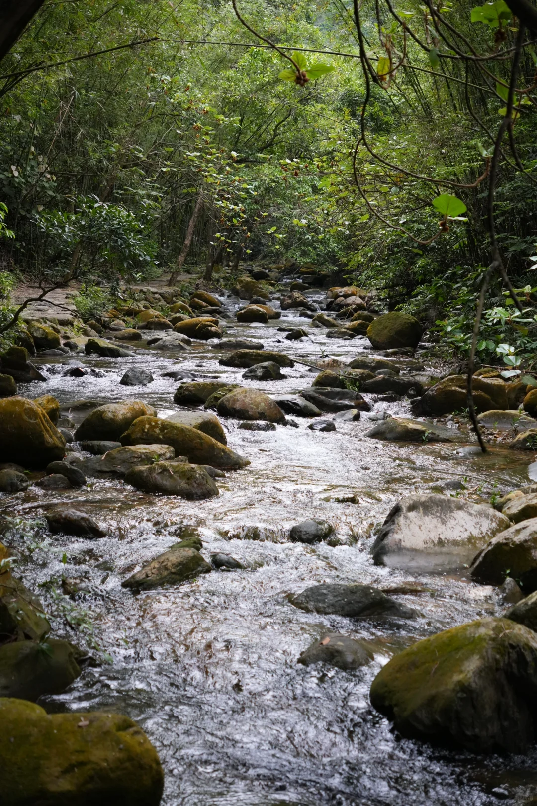 喜欢…爱上肇庆紫云谷