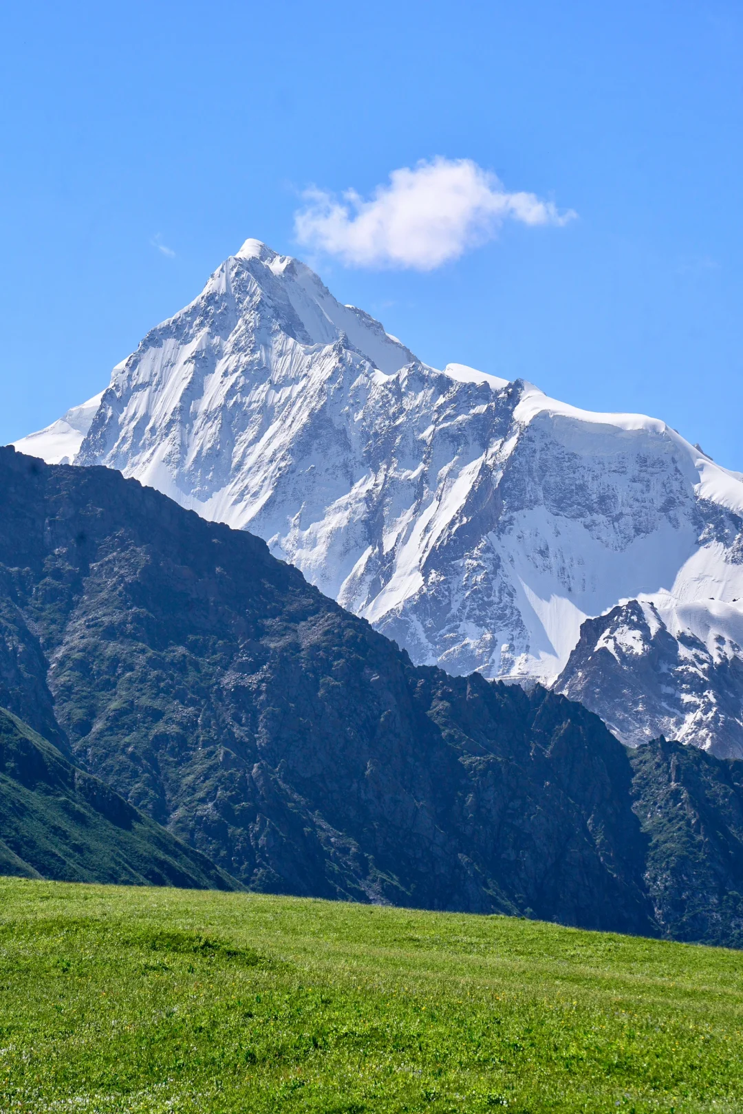 6月的夏塔是拍人生照片的最佳季节