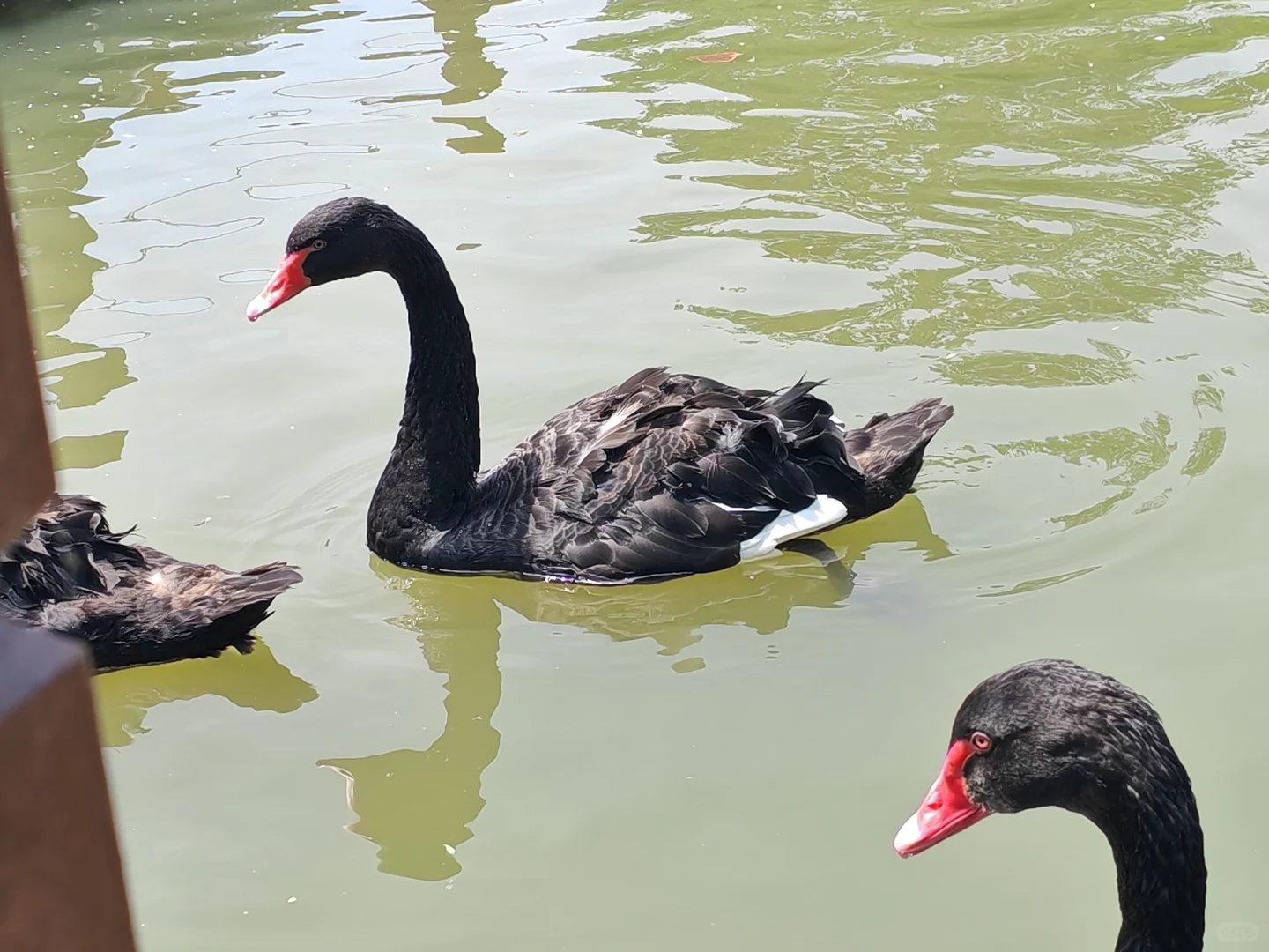 谁还不知道淄博有个三水源 真的亏大了