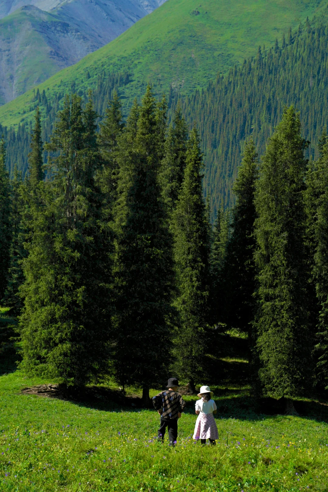 6月的夏塔是拍人生照片的最佳季节