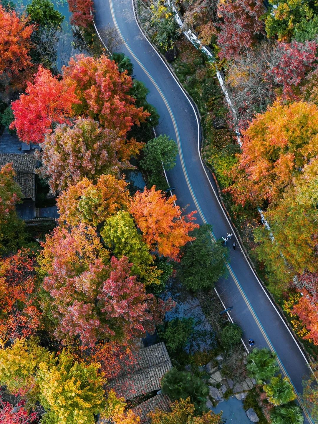 迄今为止，安徽我最喜欢的避世小镇出现了‼️