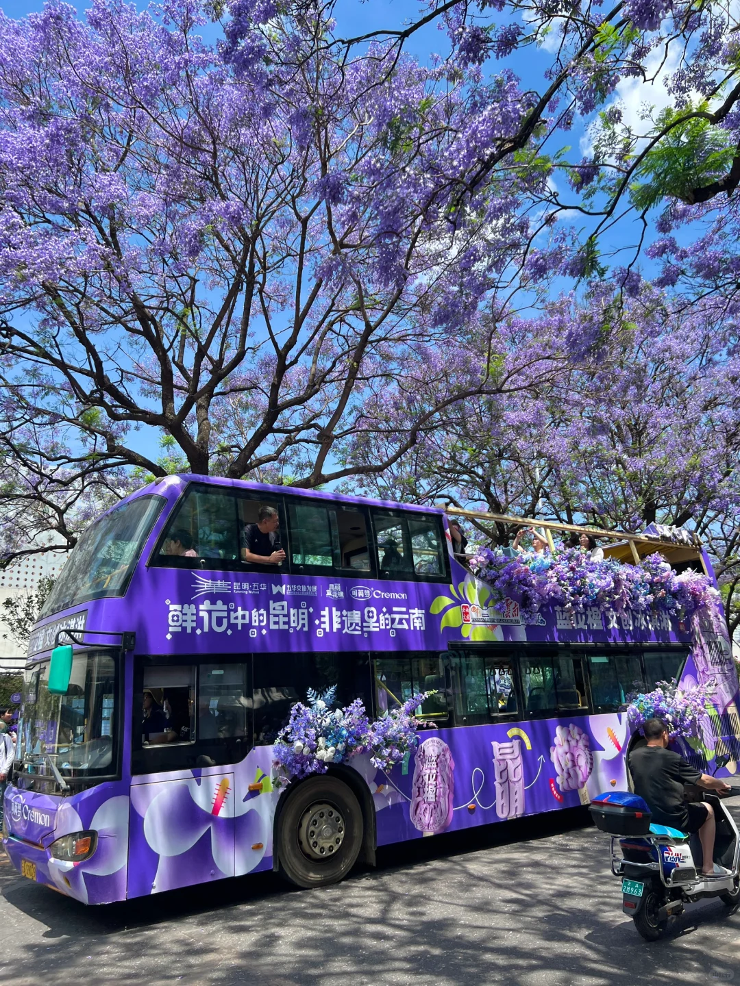 昆明一日游|详细攻略只看这篇!(附爆款机位)