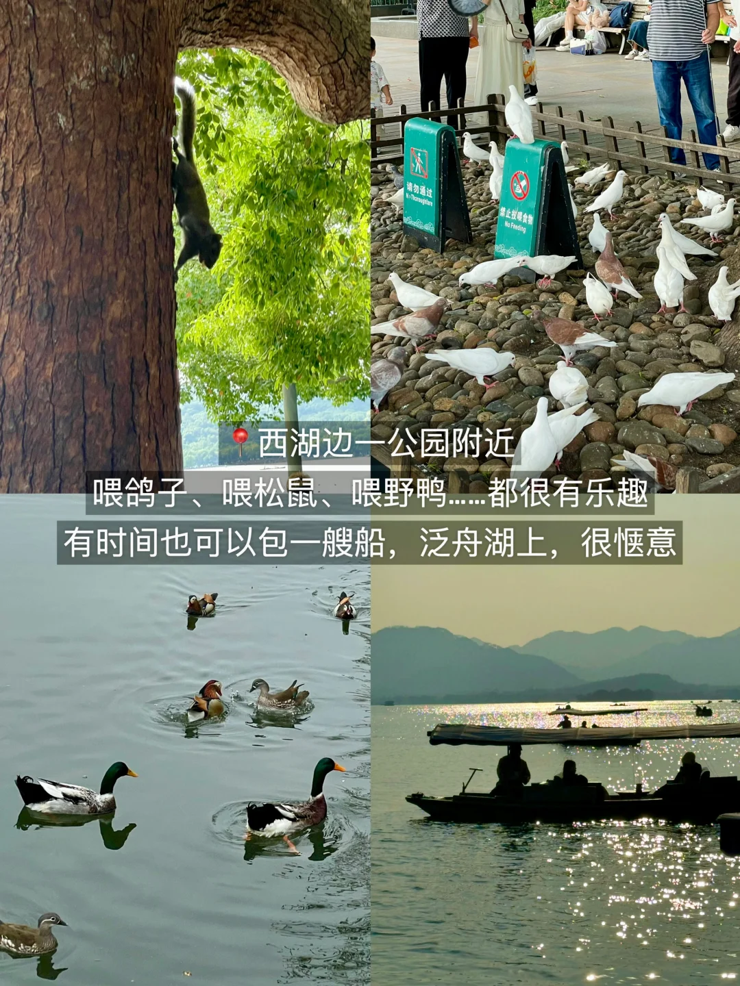 杭州旅游:(3天2晚)Citywalk版…………