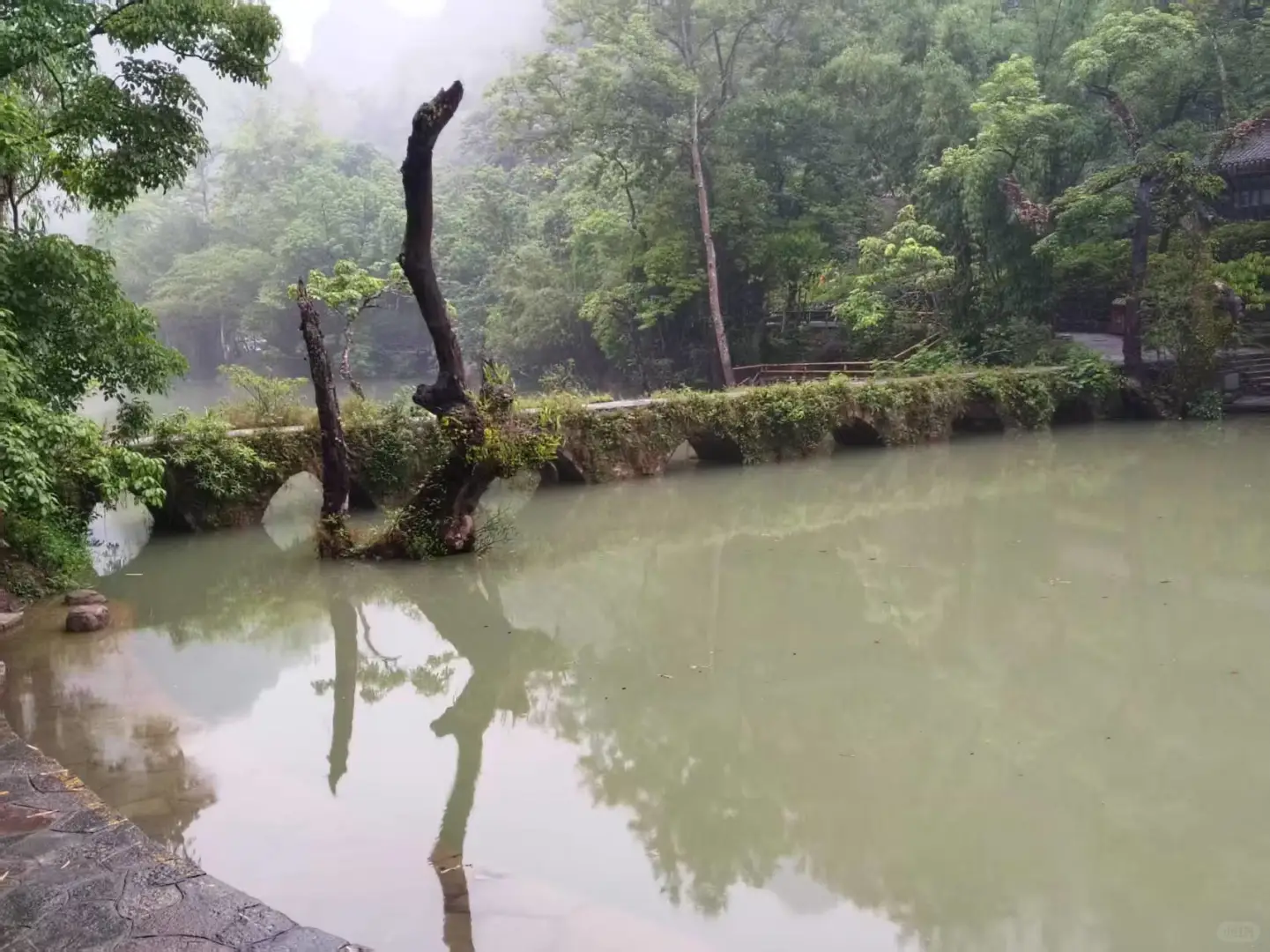 5月16日小七孔景区实况