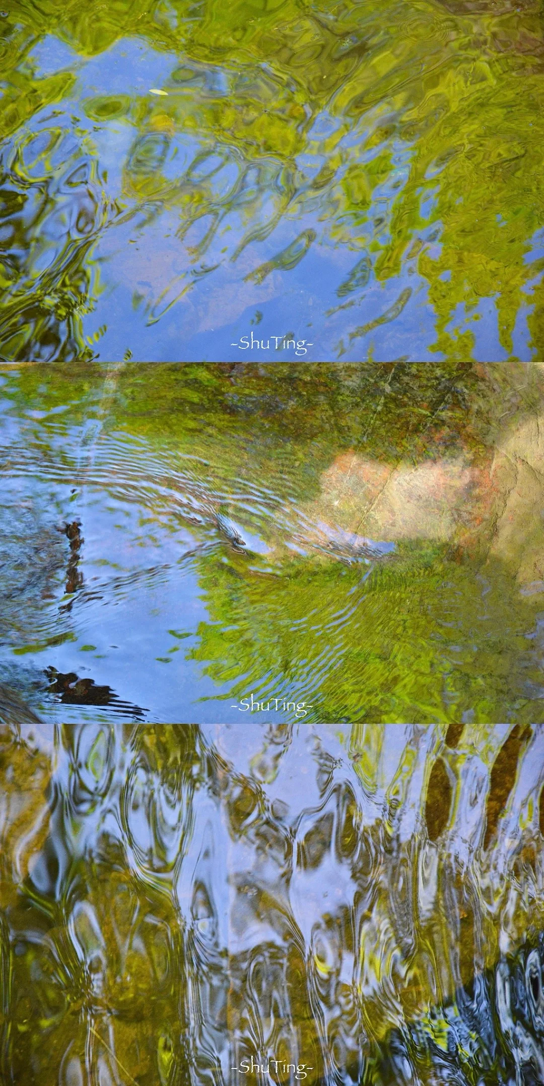 🟢喜欢那一抹流动的绿🍃邯郸七步沟美到失语