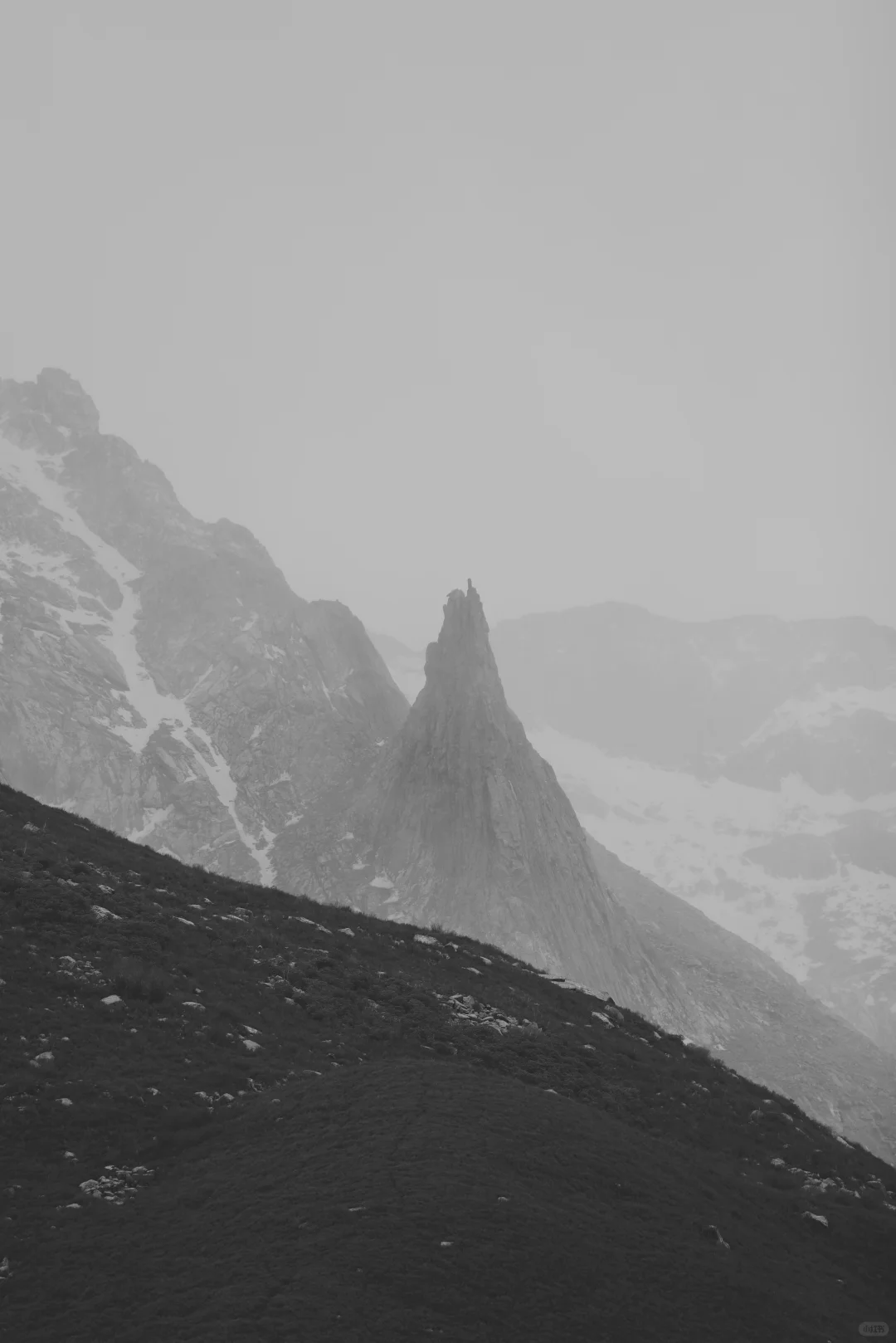 阿坝行记｜兜兜转转又见莲宝叶则