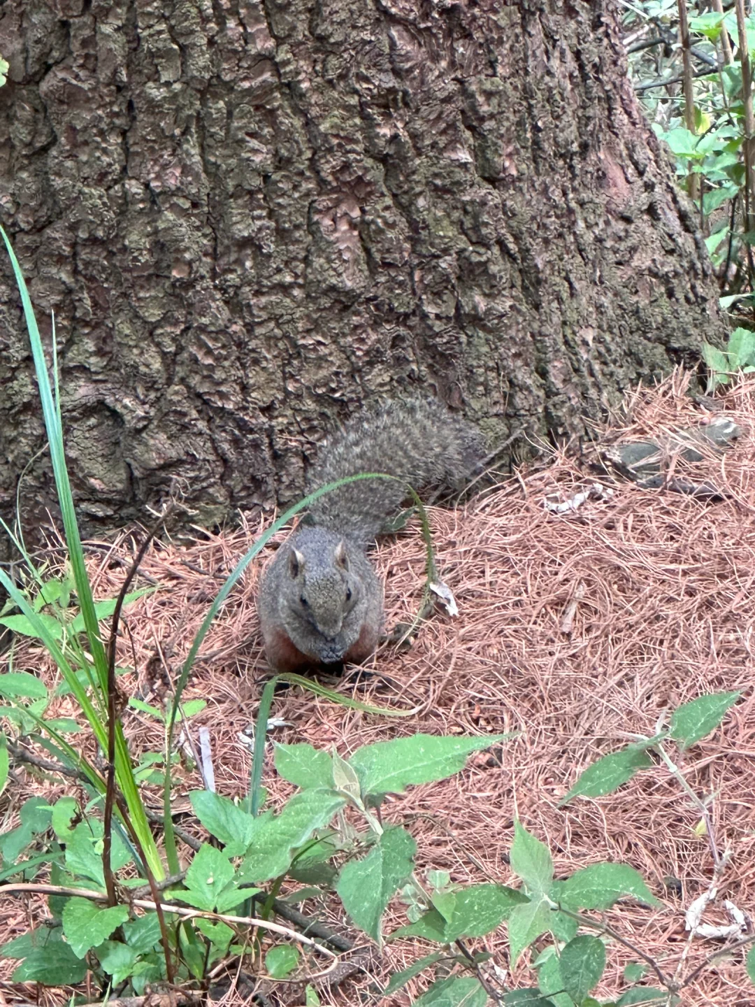 苍山徒步攻略（景区版）大理|云南徒步