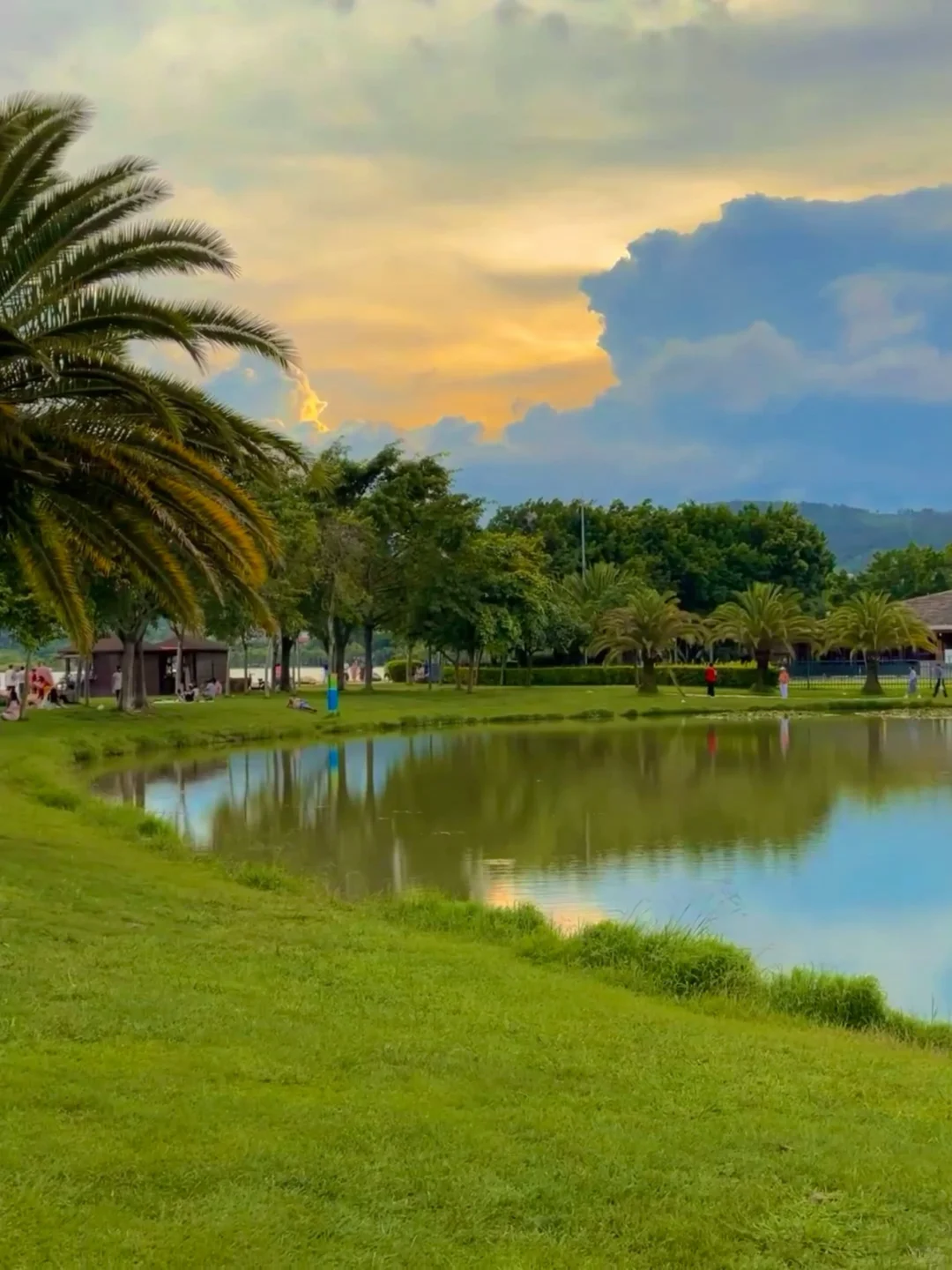 放弃大理了，暑假冲22°C的弥勒，人少景还美！