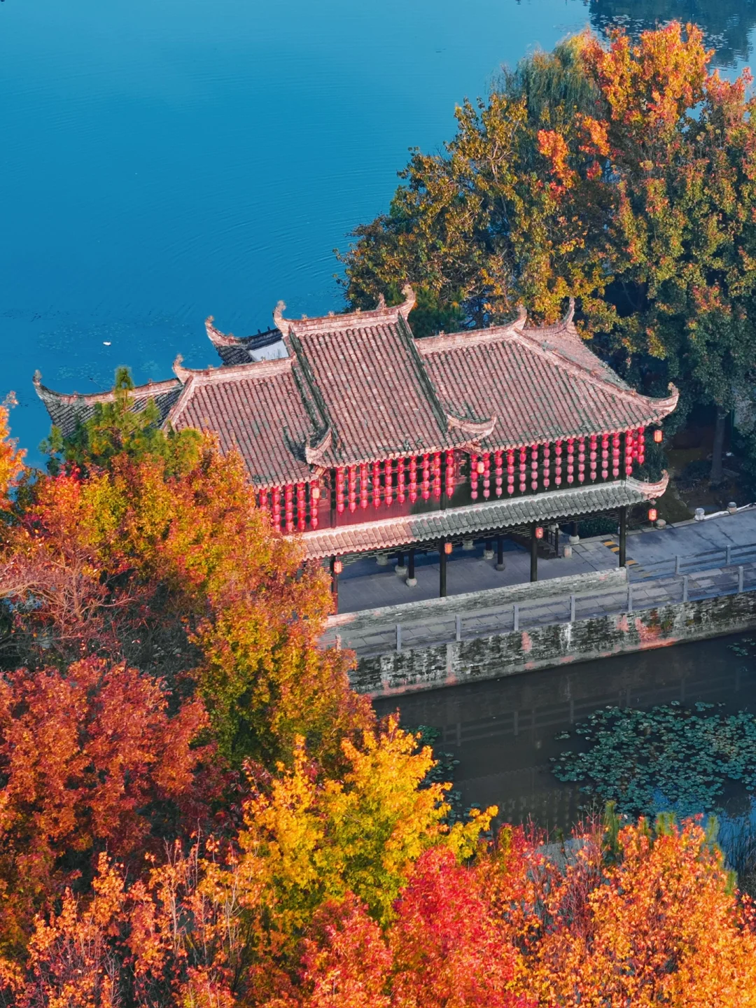 迄今为止，安徽我最喜欢的避世小镇出现了‼️