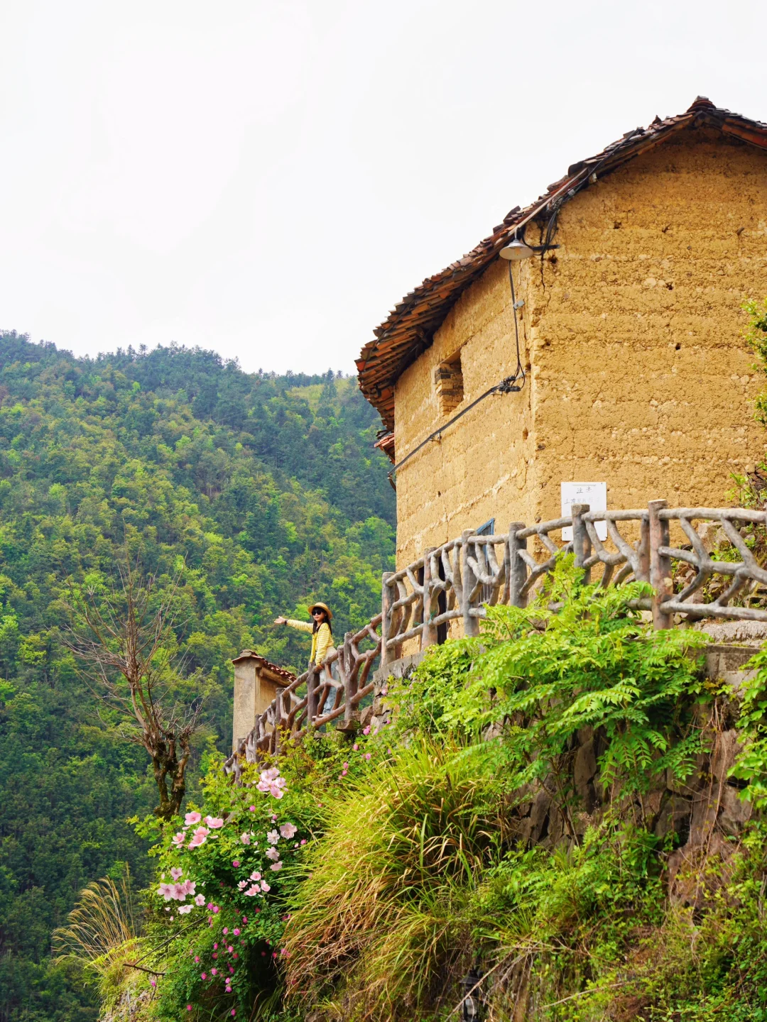 丽水松阳！被严重低估的遛娃宝藏地！后悔才来