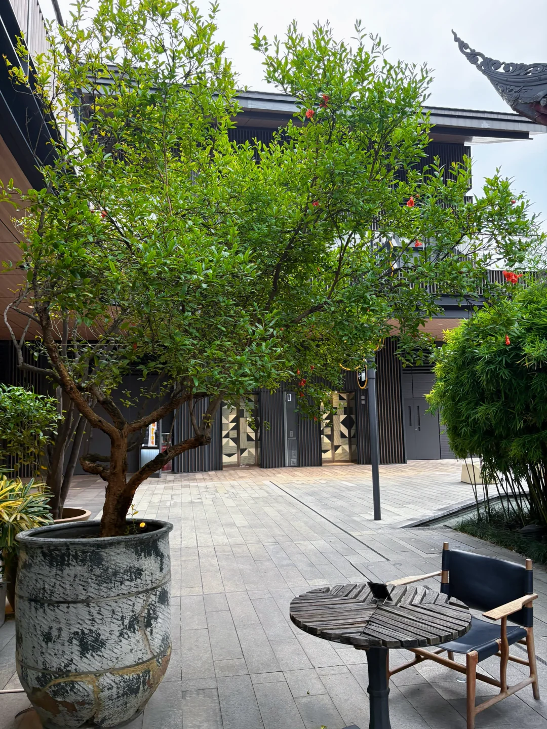 好爱这红墙青瓦 绿意深深 流水潺潺