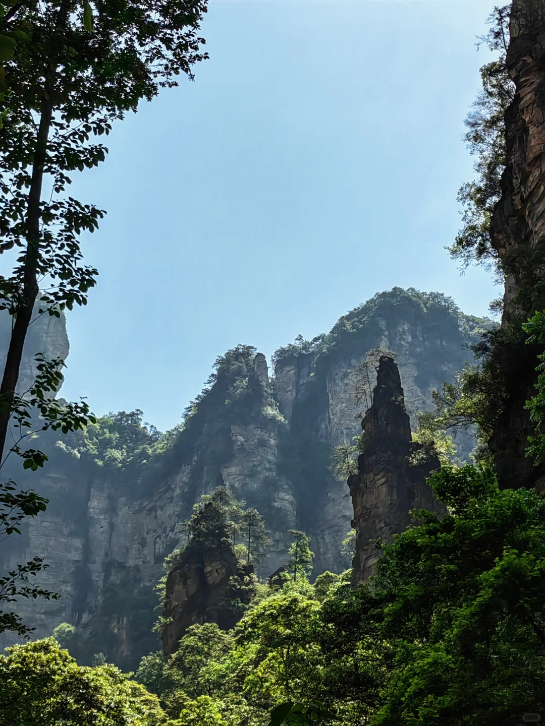 【Day6】湖南•张家界