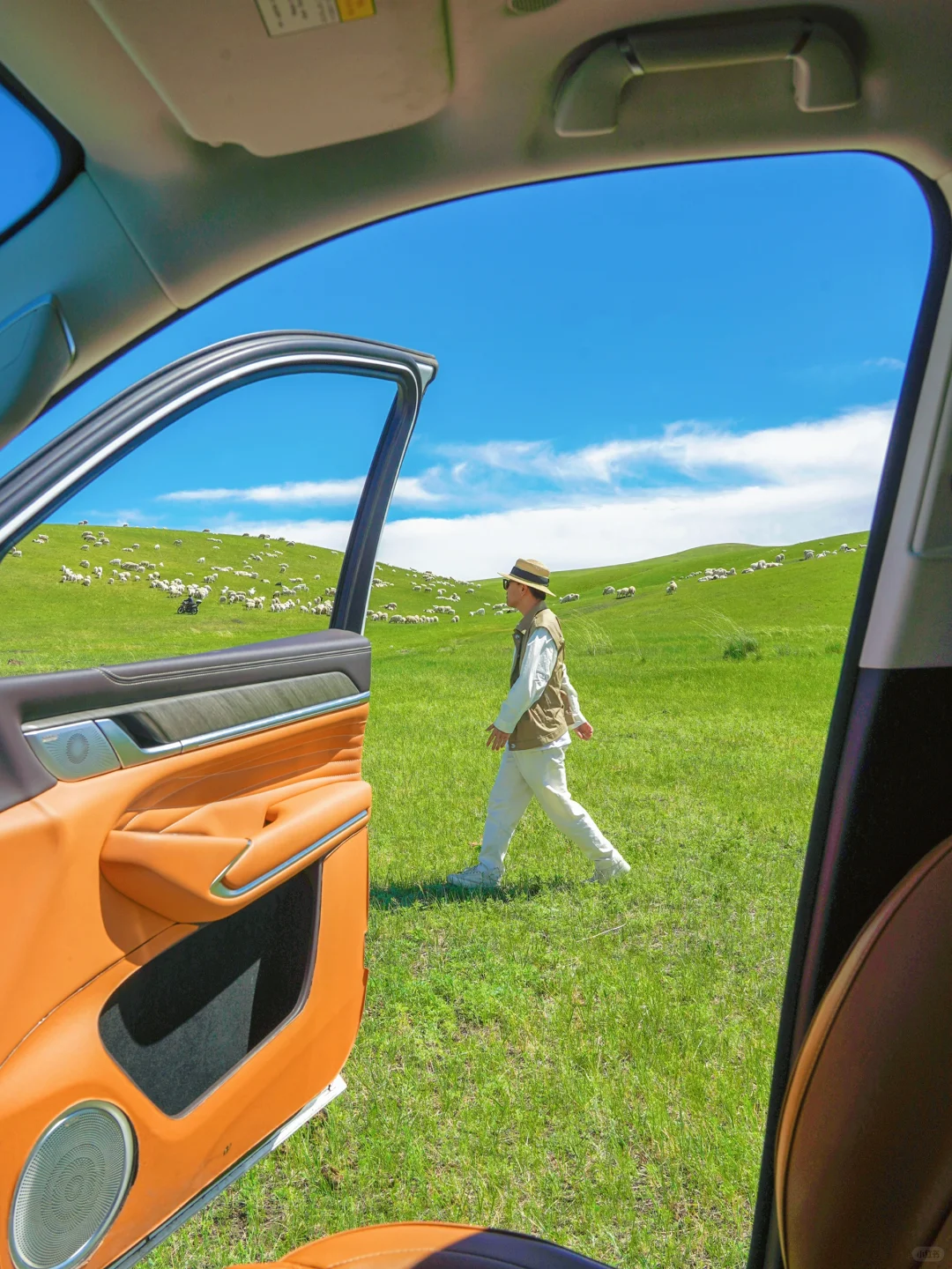 去了呼伦湖，你就知道大草原的含金量了！