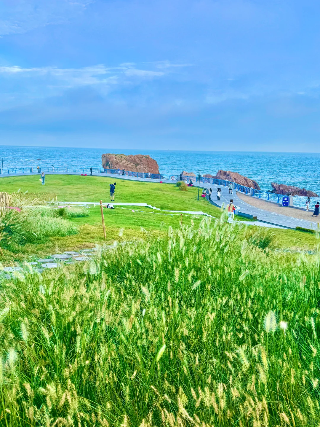 听劝没去小麦岛…青岛这里真的美哭我了