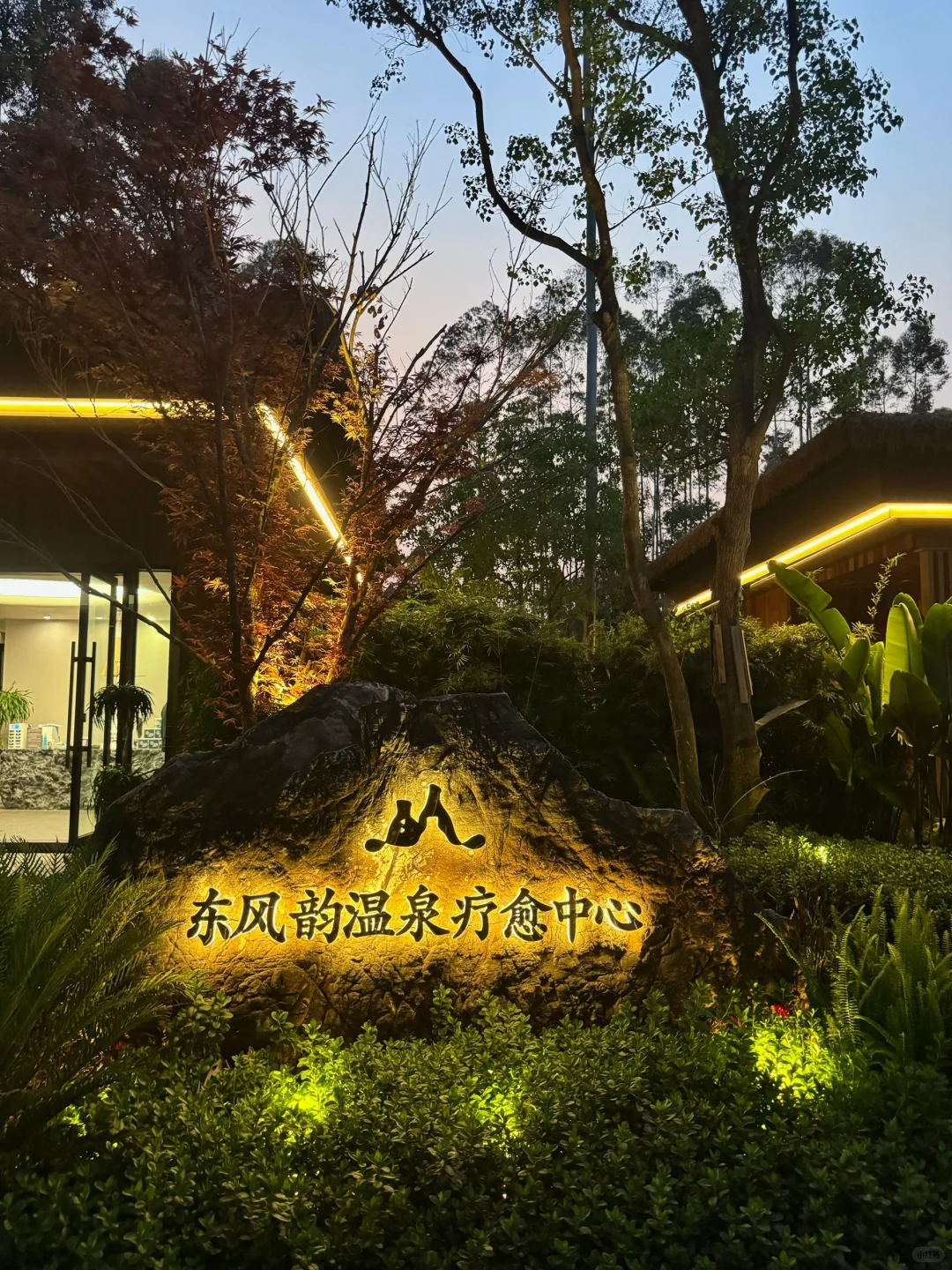 夜晚的森林温泉🌲♨️｜弥勒沐心谷