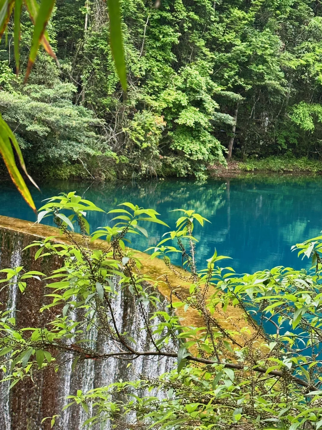 贵州旅游｜荔波小七孔 地球腰带上的绿宝石